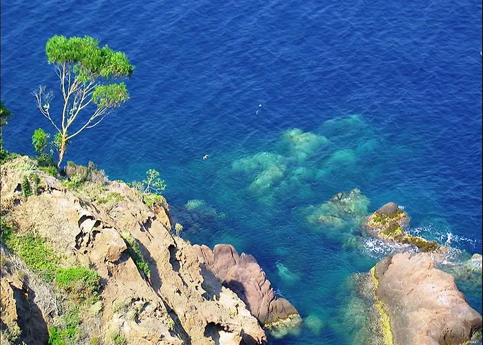 Vacanceole - Les Calanques Du Parc Fréjus
